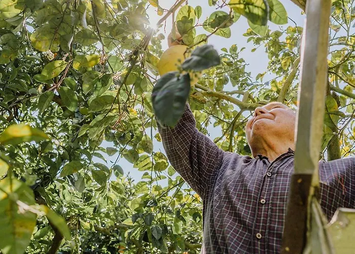 Su Barchile 3* Orosei