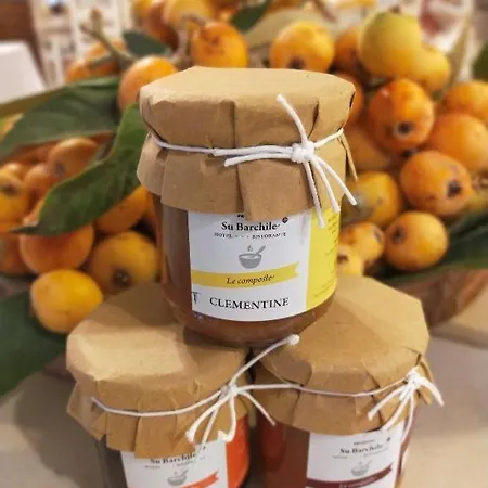 Su Barchile 3* Orosei