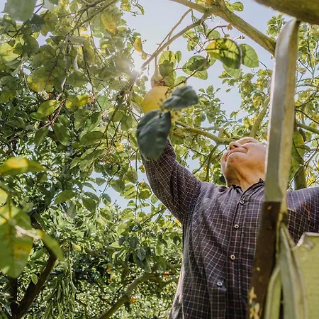 Su Barchile 3* Orosei